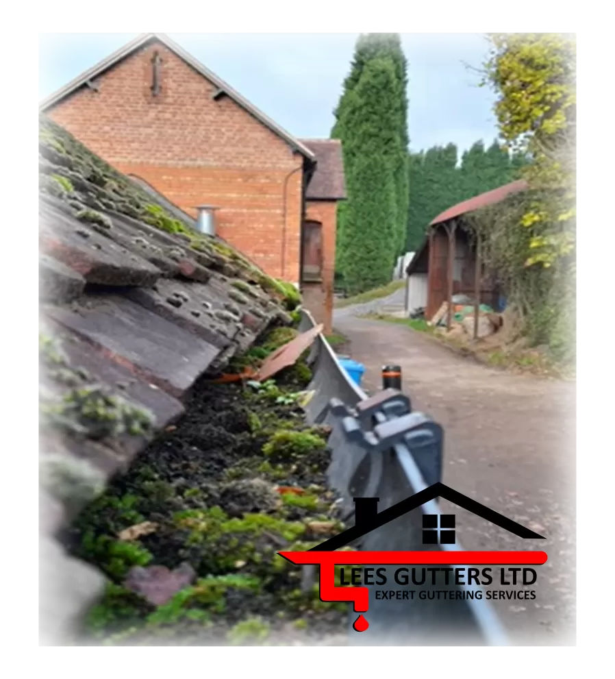 The Leading Gutter Cleaning, Repair, Installation and Replacement Company in Surrey Near Me by Lee's Gutters